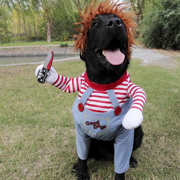 Dog Halloween Costume